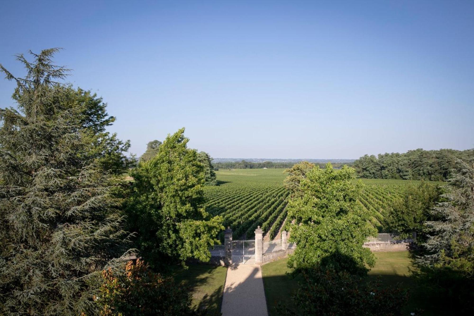 Chateau Malescasse Lamarque Ngoại thất bức ảnh