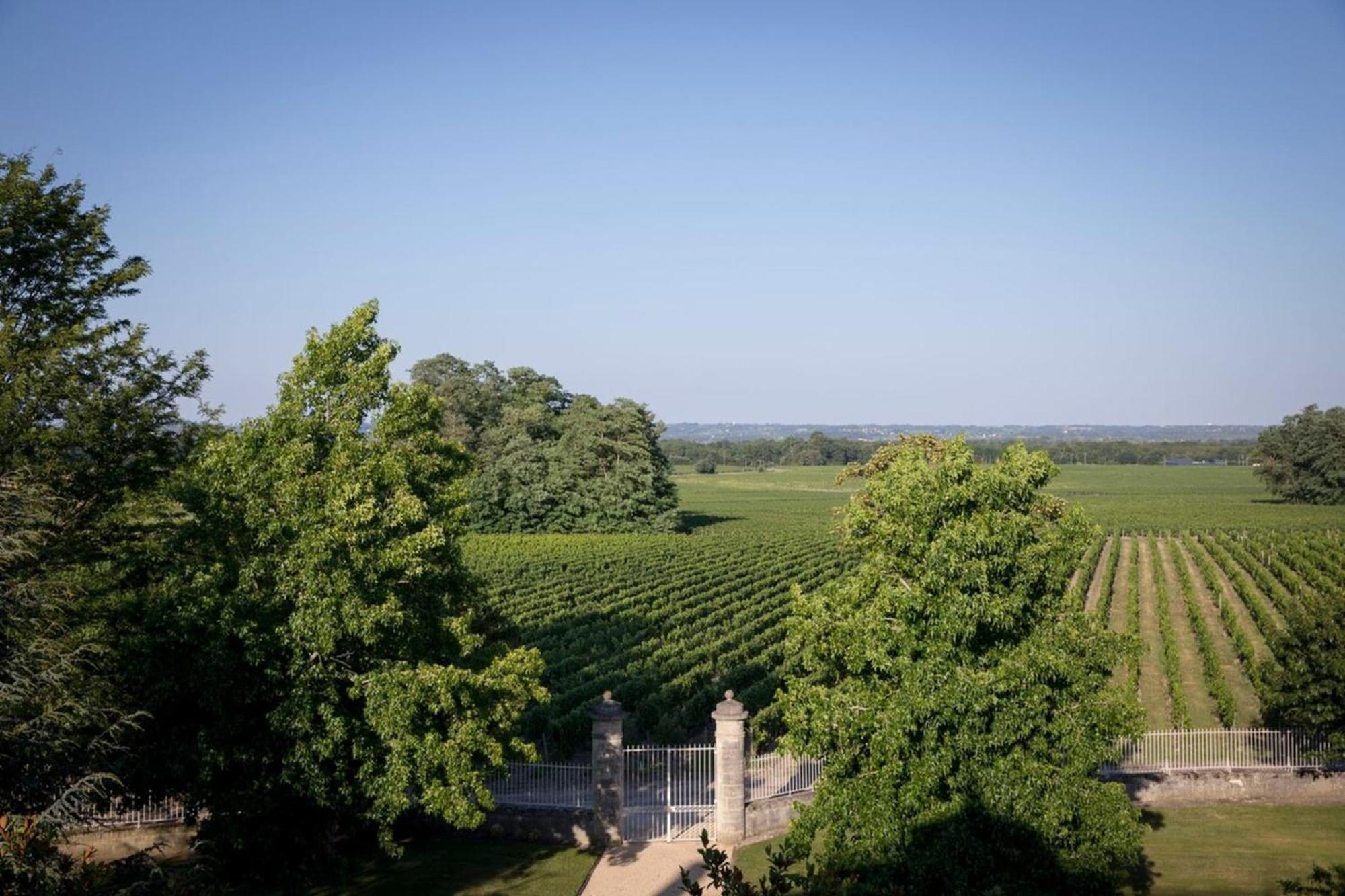 Chateau Malescasse Lamarque Ngoại thất bức ảnh