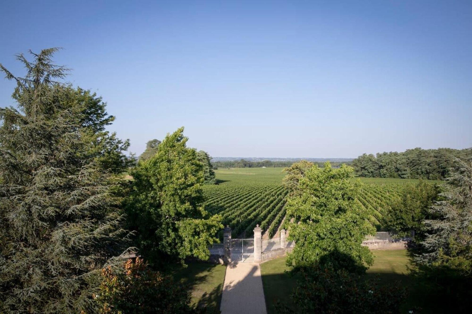 Chateau Malescasse Lamarque Ngoại thất bức ảnh