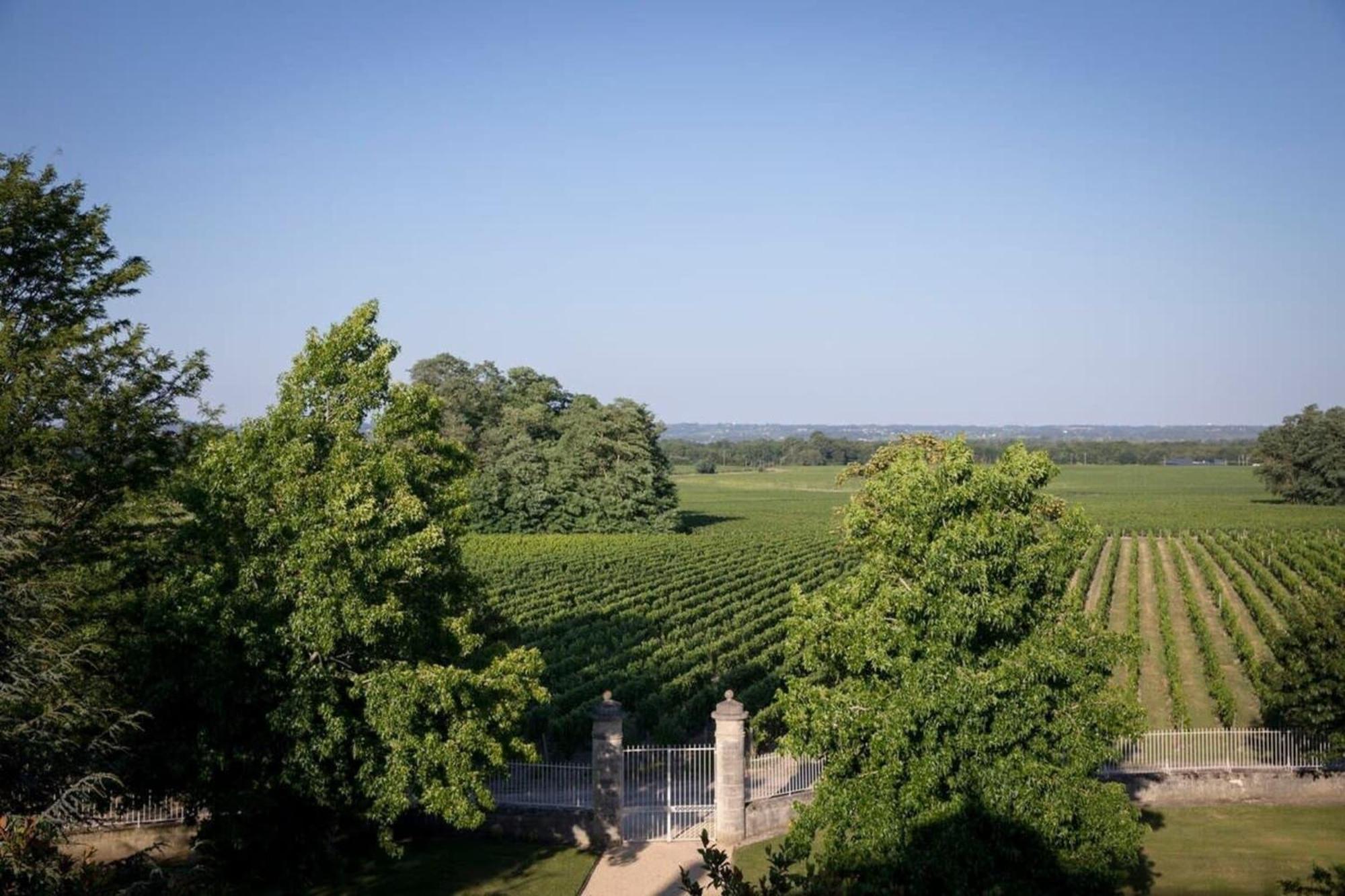 Chateau Malescasse Lamarque Ngoại thất bức ảnh